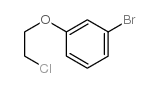 cas no 730978-54-8 is 3-(2-CHLOROETHOXY)-BROMOBENZENE