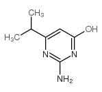 cas no 73576-32-6 is 2-amino-4-hydroxy-6-isopropylpyrimidine