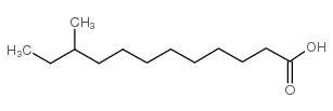cas no 7416-57-1 is 10-methyldodecanoic acid