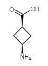 cas no 74316-27-1 is cis-3-aminocyclobutanecarboxylic acid