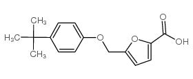cas no 74556-54-0 is 5-(4-TERT-BUTYLPHENOXYMETHYL)FURAN-2-CARBOXYLICACID