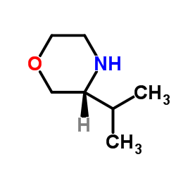 cas no 74572-01-3 is 3-Isopropylmorpholine