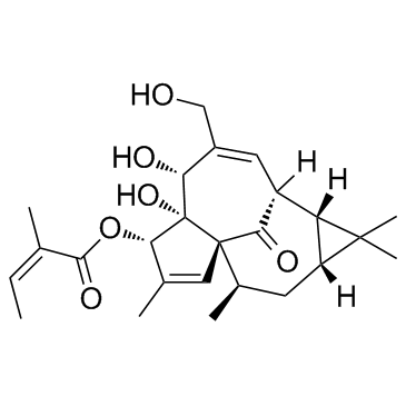 cas no 75567-37-2 is Ingenol 3-mebutate