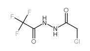 cas no 762240-99-3 is 1-(CHLOROACETYL)-2-(TRIFLUOROACETYL)HYDRAZINE