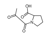 cas no 76391-12-3 is 1-(1,2-DIOXOPROPYL)-S-PROLINE