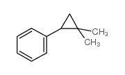 cas no 7653-94-3 is (2,2-dimethylcyclopropyl)benzene