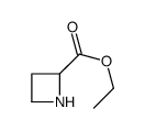 cas no 766483-76-5 is ethyl azetidine-2-carboxylate