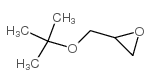 cas no 7665-72-7 is tert-butyl glycidyl ether