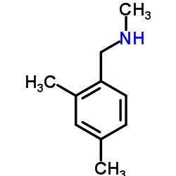 cas no 766502-85-6 is N-(2,4-dimethylbenzyl)-N-methylamine