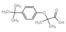 cas no 76674-58-3 is 2-[4-(TERT-BUTYL)PHENOXY]-2-METHYLPROPANOIC ACID