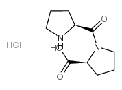 cas no 76932-06-4 is H-Pro-Pro-OH · HCl