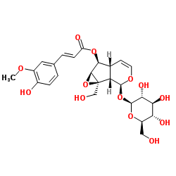 cas no 770721-33-0 is 6-Feruloylcatalpol