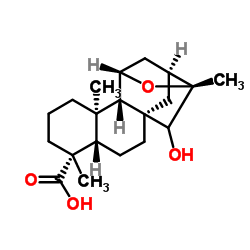 cas no 77658-46-9 is ent-11,16-Epoxy-15-hydroxykauran-19-oic acid