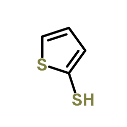 cas no 7774-74-5 is 2-Thienylthiol