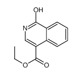 cas no 78746-04-0 is ethyl 1-oxo-2H-isoquinoline-4-carboxylate