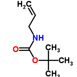 cas no 78888-18-3 is tert-Butyl allylcarbamate