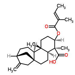cas no 79406-09-0 is ent-3&beta;-Tigloyloxykaur-16-en-19-oic acid