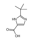 cas no 794495-32-2 is 1H-Imidazole-4-carboxylic acid,2-(1,1-dimethylethyl)- (9CI)