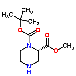 cas no 796096-64-5 is 1-tert-Butyl-2-methylpiperazin-1,2-dicarboxylat