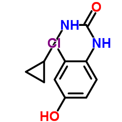 cas no 796848-79-8 is 1-(2-Chloro-4-hydroxyphenyl)-3-cyclopropylurea