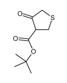 cas no 797038-38-1 is tert-butyl 4-oxothiolane-3-carboxylate