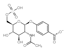 cas no 80095-44-9 is 4-Nitrophenyl2-acetamido-2-deoxy-b-D-glucopyranoside-6-sulfatepotassiumsalt