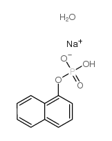 cas no 81012-89-7 is 1-NAPHTHYL PHOSPHATE MONOSODIUM SALT MONOHYDRATE