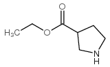 cas no 81049-29-8 is Pyrrolidine-3-carboxylic acid ethyl ester
