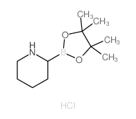 cas no 811439-31-3 is 2-(4,4,5,5-TETRAMETHYL-1,3,2-DIOXABOROLAN-2-YL)PIPERIDINE HYDROCHLORIDE