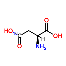 cas no 81201-98-1 is L-Aspartic-4-13C Acid