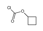 cas no 81228-87-7 is cyclobutyl carbonochloridate