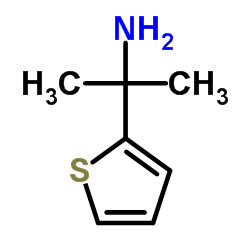 cas no 81289-15-8 is 2-(Thiophen-2-yl)propan-2-amine
