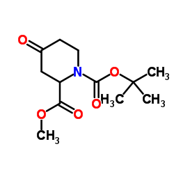 cas no 81357-18-8 is 4-Oxo-1,2-piperidinedicarboxylic acid 1-(tert-butyl) 2-methyl ester