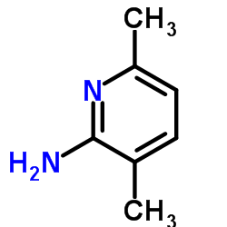 cas no 823-61-0 is 3,6-DIMETHYL-2-PYRIDINAMINE