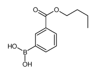 cas no 827300-04-9 is 3-BUTOXYCARBONYLPHENYLBORONIC ACID
