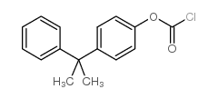 cas no 82941-10-4 is 4-Cumylphenhyl chloroformate