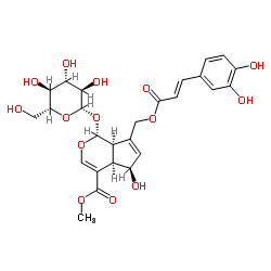 cas no 83348-22-5 is 10-O-Caffeoyl-6-epiferetoside