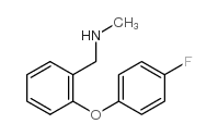 cas no 833482-53-4 is 1-[2-(4-FLUOROPHENOXY)PHENYL]-N-METHYLMETHYLAMINE