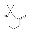 cas no 84024-59-9 is ethyl 3,3-dimethylaziridine-2-carboxylate