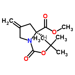 cas no 84348-39-0 is (S)-1-tert-Butyl 2-methyl 4-methylenepyrrolidine-1,2-dicarboxylate