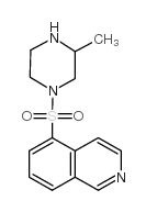cas no 84477-73-6 is 1-(5-ISOQUINOLINYLSULFONYL)-3-METHYL-PIPERAZINE