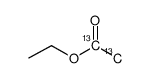 cas no 84508-45-2 is ETHYL ACETATE-13C2