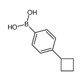 cas no 845797-74-2 is (4-cyclobutylphenyl)boronic acid
