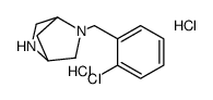 cas no 845866-67-3 is 2-(2-CHLOROBENZYL)-2,5-DIAZABICYCLO[2.2.1]HEPTANE