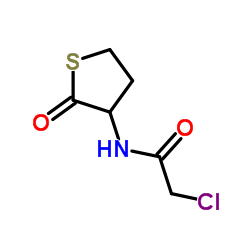 cas no 84611-22-3 is 2-CHLORO-N-(2-OXO-3-THIENYL)ACETAMIDE