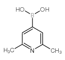 cas no 846548-44-5 is (2,6-dimethylpyridin-4-yl)boronic acid
