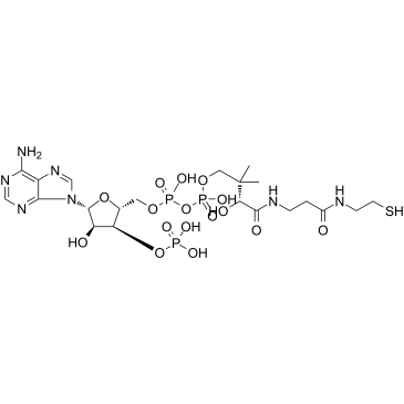 cas no 85-61-0 is Coenzyme A