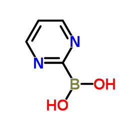 cas no 851199-85-4 is 2-Pyrimidinylboronic acid