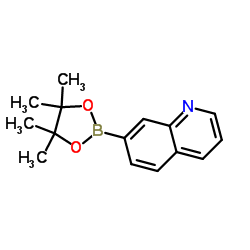 cas no 851985-81-4 is 7-(4,4,5,5-Tetramethyl-1,3,2-dioxaborolan-2-yl)quinoline