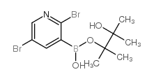 cas no 852228-17-2 is 2,5-dibromopyridine-3-boronic acid pinacol ester